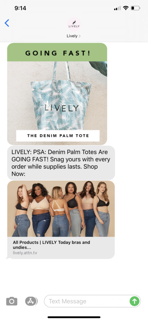 Lively Text Message Marketing Example - 06.12.2020