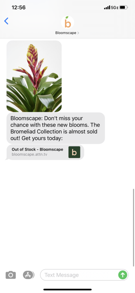 Bloomscape Text Message Marketing Example - 06.26.2020