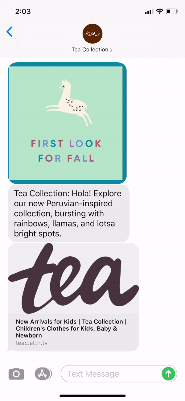 Tea Collection Text Message Marketing Example - 07.21.2020