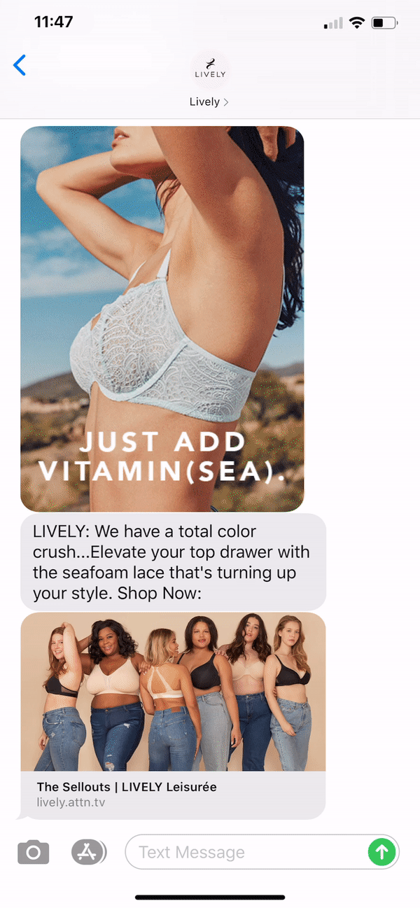Lively Text Message Marketing Example - 09.04.2020
