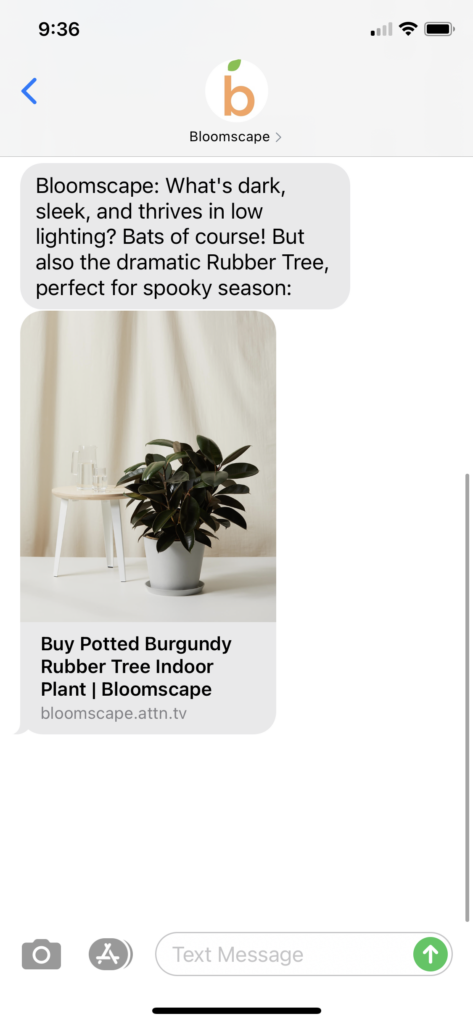 Bloomscape Text Message Marketing Example - 10.20.2020