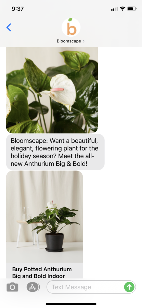 Bloomscape Text Message Marketing Example - 10.27.2020