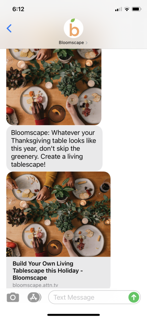 Bloomscape Text Message Marketing Example - 11.20.2020.PNG