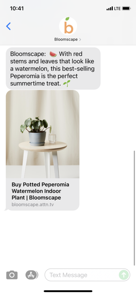 Bloomscape Text Message Marketing Example - 06.12.2021