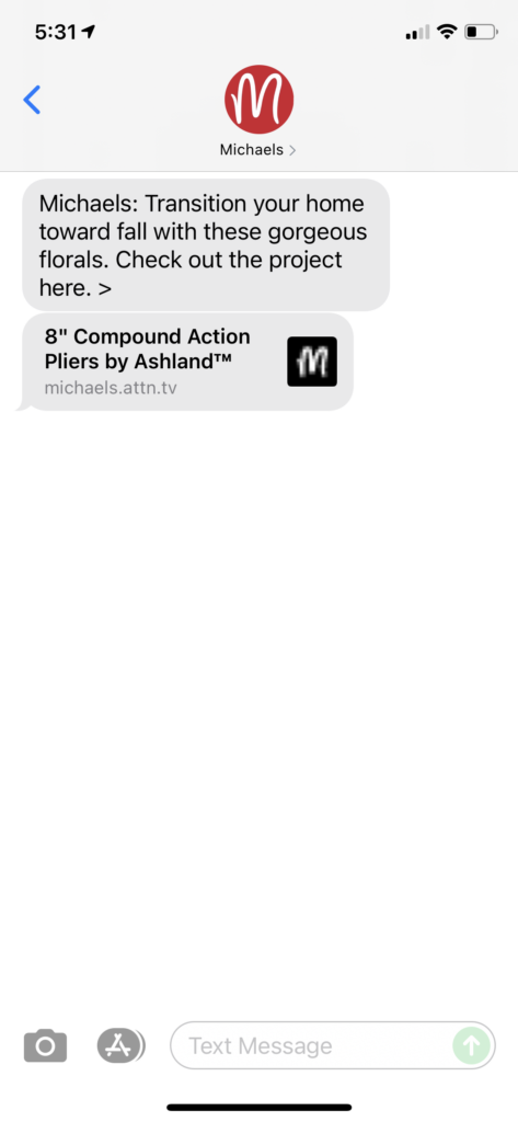 Michaels Text Message Marketing Example - 07.24.2021