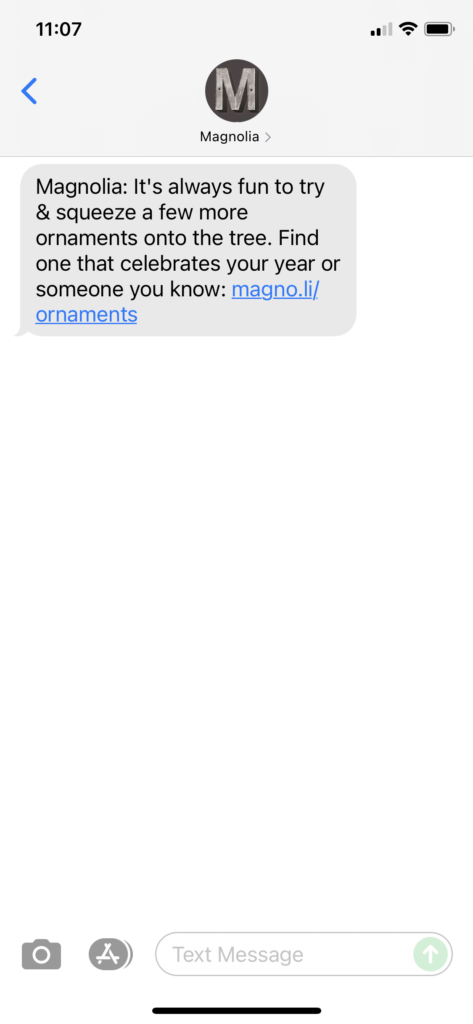 Magnolia Text Message Marketing Example - 11.06.2021