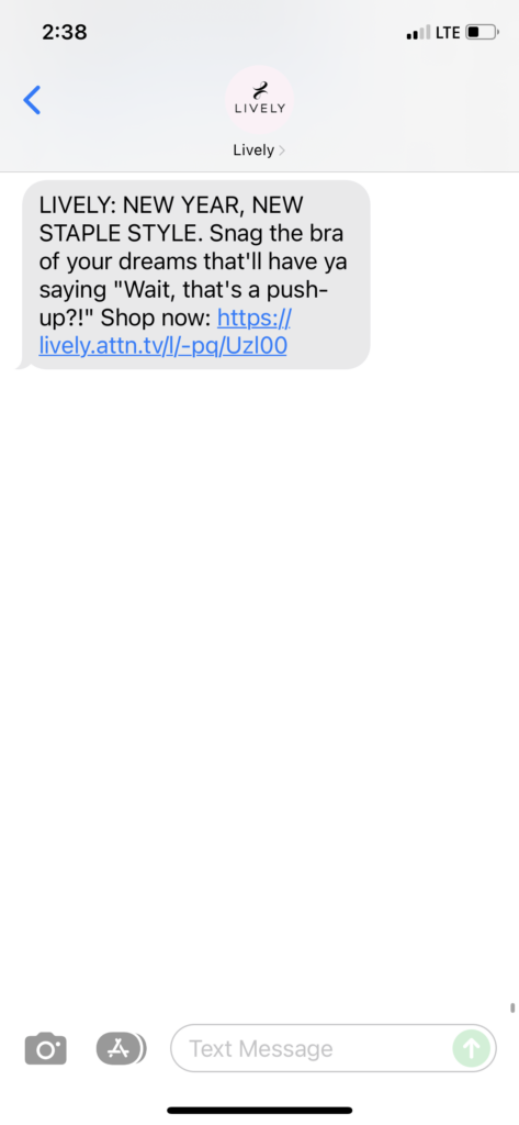 Lively Text Message Marketing Example - 12.31.2021